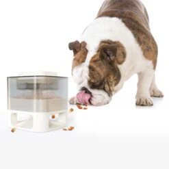Hanamya Slower With Press Button Dog & Cat Feeder, Blue 17 Hanamya Slower With Press Button Dog & Cat Feeder, Blue -Blue Buffalo Shop 838798 PT6. AC SS1800 V1697811398