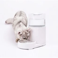 Hanamya Automatic Water Dispenser With 3 Liter Capacity Dog & Cat Waterer, White -Blue Buffalo Shop 838830 PT2. AC SS1800 V1682371270