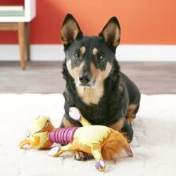 Fat Cat Rubber Neckers Squeaky Dog Toy, Color Varies 13 Fat Cat Rubber Neckers Squeaky Dog Toy, Color Varies -Blue Buffalo Shop 84007 PT5. AC SS1800 V1531520583