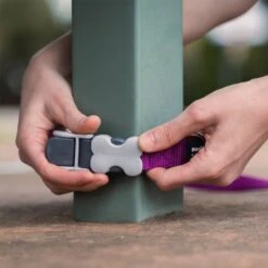 Red Dingo SuperLead Dog Leash -Blue Buffalo Shop 844798 PT4. AC SS1800 V1688676220