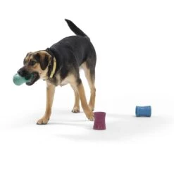 West Paw Funnl Dog Toy, Large, 4.25-in -Blue Buffalo Shop 847974 PT6. AC SS1800 V1683905951