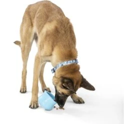 West Paw Toppl Dog Toy, X-Large, 4.75-in -Blue Buffalo Shop 848006 PT5. AC SS1800 V1683905445