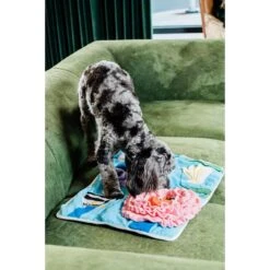 Injoya Under The Sea Cat & Dog Snuffle Mat, Blue, Medium -Blue Buffalo Shop 848054 PT2. AC SS1800 V1684495774