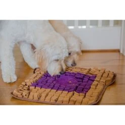 Injoya PB & J Cat & Dog Snuffle Mat, Brown, Medium 7 Injoya PB & J Cat & Dog Snuffle Mat, Brown, Medium -Blue Buffalo Shop 848102 PT2. AC SS1800 V1684421062
