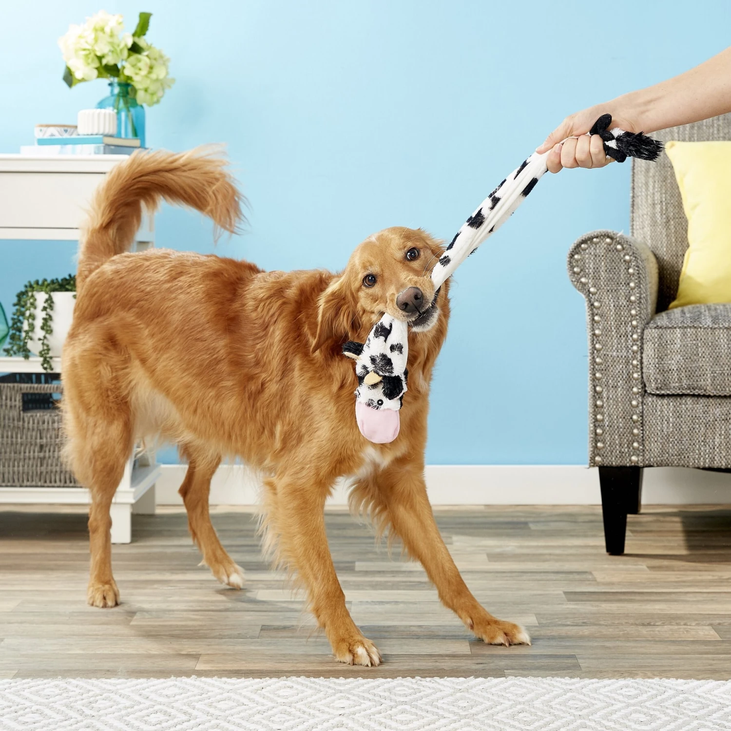 Ethical Pet Skinneeez Crinklers Cow Stuffing-Free Squeaky Plush Dog Toy 4 Ethical Pet Skinneeez Crinklers Cow Stuffing-Free Squeaky Plush Dog Toy - Image 2