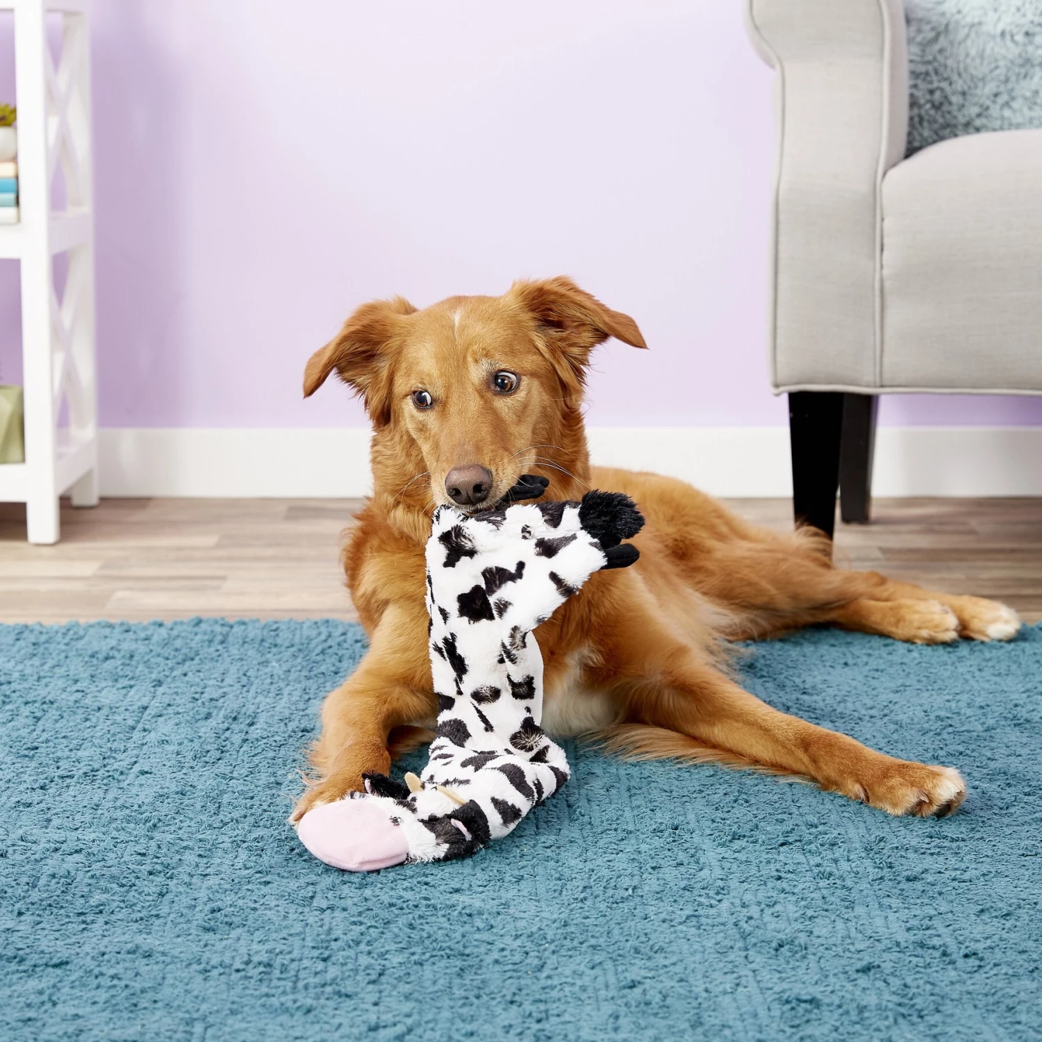 Ethical Pet Skinneeez Crinklers Cow Stuffing-Free Squeaky Plush Dog Toy 5 Ethical Pet Skinneeez Crinklers Cow Stuffing-Free Squeaky Plush Dog Toy - Image 3