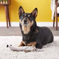 Ethical Pet Skinneeez Crinklers Goat Stuffing-Free Squeaky Plush Dog Toy -Blue Buffalo Shop 85048 PT7. AC SS1800 V1527093496