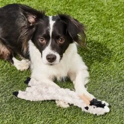 Ethical Pet Skinneeez Crinklers Goat Stuffing-Free Squeaky Plush Dog Toy -Blue Buffalo Shop 85048 PT8. AC SS1800 V1530547773