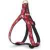 Up Country Red Bandana Dog Harness, Red & Black 1 Up Country Red Bandana Dog Harness, Red & Black -Blue Buffalo Shop 852598 MAIN. AC SS1800 V1690984975