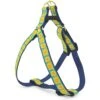 Up Country Sunflower Dog Harness, Blue & Yellow -Blue Buffalo Shop 853142 MAIN. AC SS1800 V1691002152
