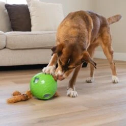 Nina Ottosson By Outward Hound Snuffle N' Treat Interactive Puzzle Ball & Treat Dispenser Dog Toy, Green -Blue Buffalo Shop 855590 PT4. AC SS1800 V1694286045