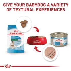 Royal Canin Size Health Nutrition Small Starter Mother & Babydog Dry Dog Food -Blue Buffalo Shop 855846 PT5. AC SS1800 V1697212396