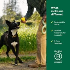 Earth Rated Rubber Fetch Chew Dog Toy -Blue Buffalo Shop 856150 PT6. AC SS1800 V1701983280