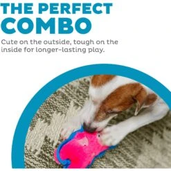 Outward Hound Invincibles Minis Squeaky Stuffing-Free Plush Dog Toy 8 Outward Hound Invincibles Minis Squeaky Stuffing-Free Plush Dog Toy -Blue Buffalo Shop 85905 PT1. AC SS1800 V1636515983