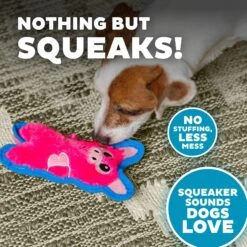 Outward Hound Invincibles Minis Squeaky Stuffing-Free Plush Dog Toy 10 Outward Hound Invincibles Minis Squeaky Stuffing-Free Plush Dog Toy -Blue Buffalo Shop 85905 PT3. AC SS1800 V1636517562