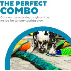 Outward Hound Invincibles Snakes Squeaky Stuffing-Free Plush Dog Toy 10 Outward Hound Invincibles Snakes Squeaky Stuffing-Free Plush Dog Toy -Blue Buffalo Shop 85909 PT1. AC SS1800 V1636496484