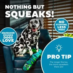 Outward Hound Invincibles Snakes Squeaky Stuffing-Free Plush Dog Toy 12 Outward Hound Invincibles Snakes Squeaky Stuffing-Free Plush Dog Toy -Blue Buffalo Shop 85909 PT3. AC SS1800 V1636510897