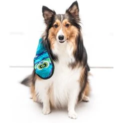 Outward Hound Invincibles Snakes Squeaky Stuffing-Free Plush Dog Toy 14 Outward Hound Invincibles Snakes Squeaky Stuffing-Free Plush Dog Toy -Blue Buffalo Shop 85909 PT5. AC SS1800 V1636514273