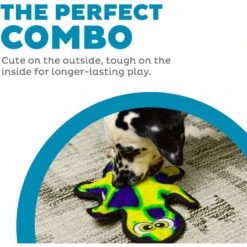 Outward Hound Invincibles Geckos Squeak Dog Toy -Blue Buffalo Shop 85910 PT1. AC SS1800 V1636517552