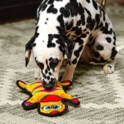 Outward Hound Invincibles Geckos Squeaky Stuffing-Free Plush Dog Toy 12 Outward Hound Invincibles Geckos Squeaky Stuffing-Free Plush Dog Toy -Blue Buffalo Shop 85913 PT4. AC SS1800 V1636512722