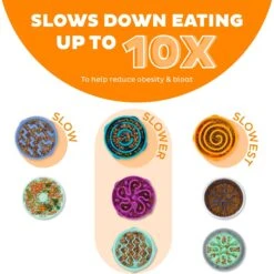 Outward Hound Fun Feeder Interactive Dog Bowl, Orange -Blue Buffalo Shop 85929 PT1. AC SS1800 V1694440056