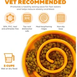 Outward Hound Fun Feeder Interactive Dog Bowl, Orange -Blue Buffalo Shop 85929 PT2. AC SS1800 V1694286770