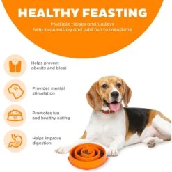 Outward Hound Fun Feeder Interactive Dog Bowl, Orange -Blue Buffalo Shop 85929 PT3. AC SS1800 V1694440099