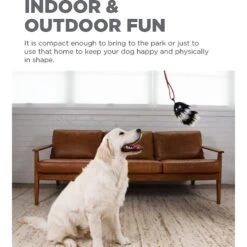 Outward Hound Tail Teaser With Refill Dog & Cat Teaser Toy 12 Outward Hound Tail Teaser With Refill Dog & Cat Teaser Toy -Blue Buffalo Shop 85934 PT2. AC SS1800 V1636518395