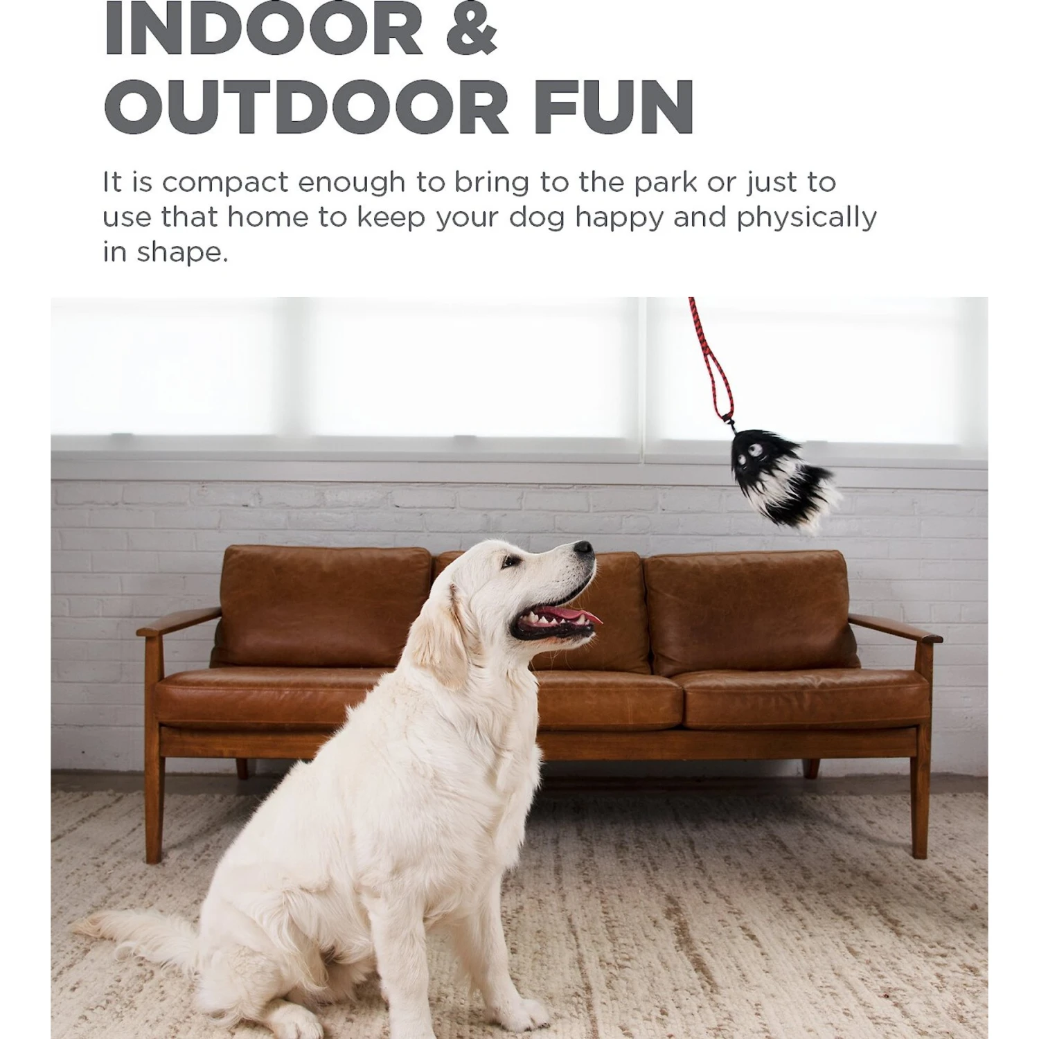 Outward Hound Tail Teaser With Refill Dog & Cat Teaser Toy 5 Outward Hound Tail Teaser With Refill Dog & Cat Teaser Toy - Image 3