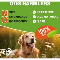 Beloved Pets Flea & Tick Prevention Chewable Pills For Dogs, 10-oz Pack 15 Beloved Pets Flea & Tick Prevention Chewable Pills For Dogs, 10-oz Pack -Blue Buffalo Shop 862558 PT5. AC SS1800 V1685472690