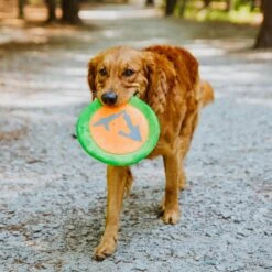 Hound2O Reflective Flyer Dog Toy -Blue Buffalo Shop 863726 PT2. AC SS1800 V1687284093
