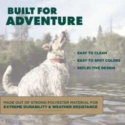 Hound2O Reflective Flyer Dog Toy -Blue Buffalo Shop 863726 PT4. AC SS1800 V1687286170