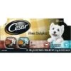 Cesar Home Delights Slow Cooked Chicken & Vegetables & Beef Stew Variety Pack Small Breed Adult Wet Dog Food Trays -Blue Buffalo Shop 86476 MAIN. AC SS1800 V1695648880