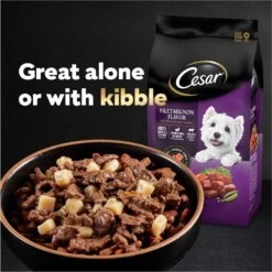 Cesar Home Delights Slow Cooked Chicken & Vegetables & Beef Stew Variety Pack Small Breed Adult Wet Dog Food Trays -Blue Buffalo Shop 86476 PT7. AC SS1800 V1695674600