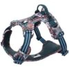 Chai's Choice Premium Floral Dog Harness -Blue Buffalo Shop 872110 MAIN. AC SS1800 V1687293385