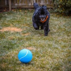 Pet Fit For Life Giant Tennis Ball Dog Toy, Yellow -Blue Buffalo Shop 872422 PT4. AC SS1800 V1686247988