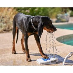 Pet Fit For Life Dog Step-on Sprinkler Dog Toy, Silver -Blue Buffalo Shop 872438 PT1. AC SS1800 V1686250296