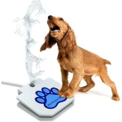 Pet Fit For Life Dog Step-on Sprinkler Dog Toy, Silver -Blue Buffalo Shop 872438 PT7. AC SS1800 V1686245827