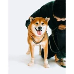 RIFRUF Caesar 1 Dog Boot -Blue Buffalo Shop 884238 PT4. AC SS1800 V1699456308