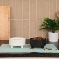 Waggo Uplift Elevated Ceramic Cat & Dog Bowl 13 Waggo Uplift Elevated Ceramic Cat & Dog Bowl -Blue Buffalo Shop 889142 PT4. AC SS1800 V1698093460