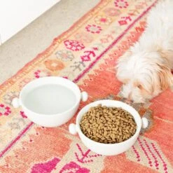 Waggo Bobble Ceramic Cat & Dog Bowl, Medium 7 Waggo Bobble Ceramic Cat & Dog Bowl, Medium -Blue Buffalo Shop 889206 PT1. AC SS1800 V1698346520