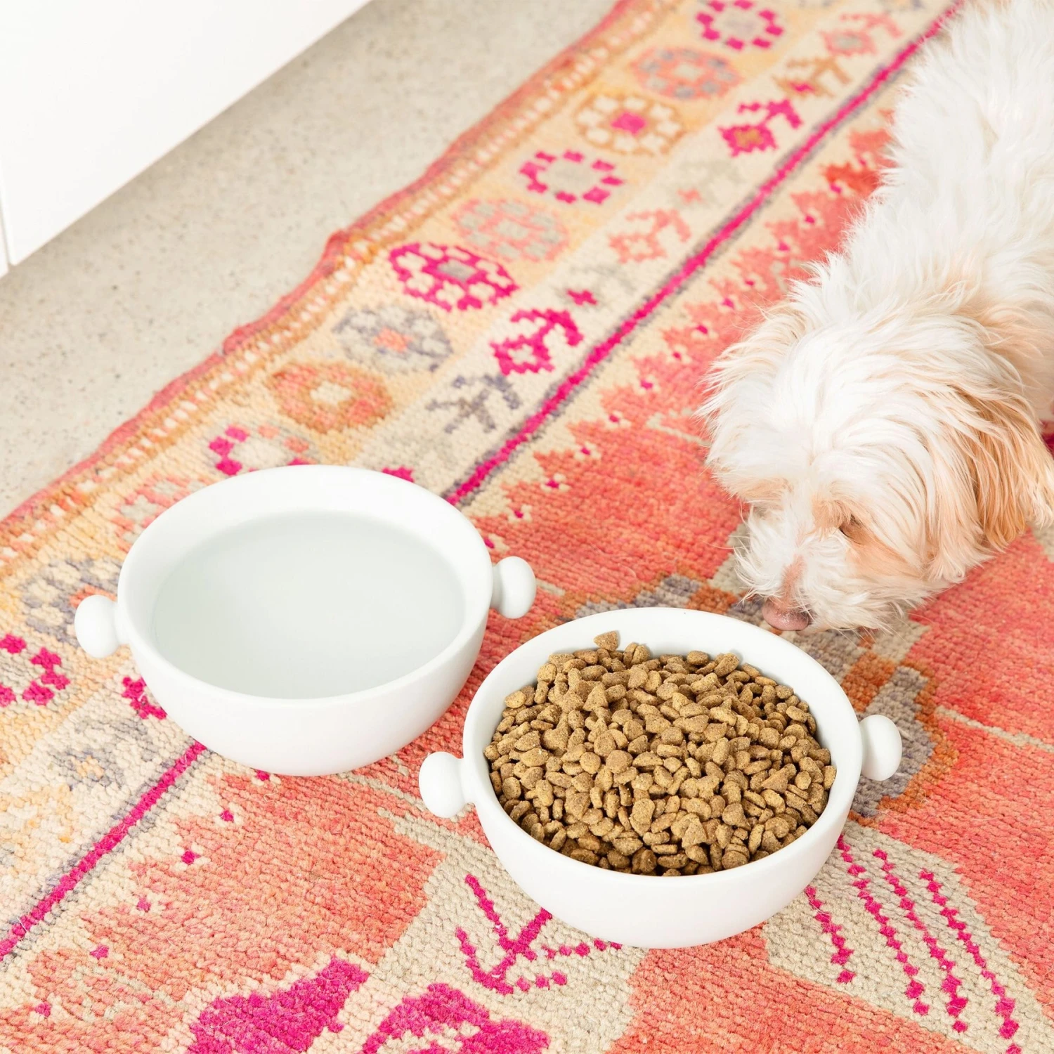 Waggo Bobble Ceramic Cat & Dog Bowl, Medium 4 Waggo Bobble Ceramic Cat & Dog Bowl, Medium - Image 2