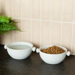 Waggo Bobble Ceramic Cat & Dog Bowl, Medium 8 Waggo Bobble Ceramic Cat & Dog Bowl, Medium -Blue Buffalo Shop 889206 PT2. AC SS1800 V1698346578