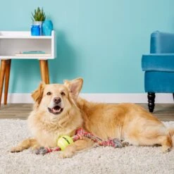 Mammoth Color 3 Knot Rope Tug With Tennis Ball For Dogs, Color Varies -Blue Buffalo Shop 89513 PT2. AC SS1800 V1633020506