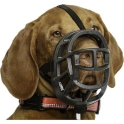 Baskerville Ultra Dog Adjustable Basket Muzzle -Blue Buffalo Shop 89656 PT7. AC SS1800 V1558015118