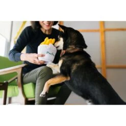 P.L.A.Y. Pet Lifestyle And You P.L.A.Y. X Earth Rated Poutine Plush Squeaky Dog Toy -Blue Buffalo Shop 896782 PT5. AC SS1800 V1689962388
