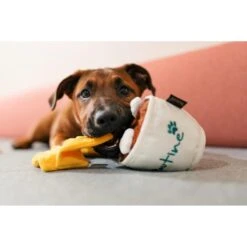 P.L.A.Y. Pet Lifestyle And You P.L.A.Y. X Earth Rated Poutine Plush Squeaky Dog Toy -Blue Buffalo Shop 896782 PT6. AC SS1800 V1689795526