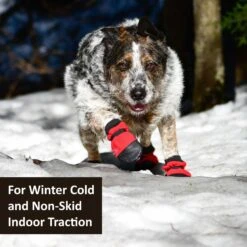 Muttluks Hott Doggers Dog Boot, 4 Boots -Blue Buffalo Shop 897510 PT2. AC SS1800 V1689963547