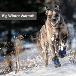 Muttluks Snow Mushers Winter Dog Boot, 2 Boots -Blue Buffalo Shop 897710 PT6. AC SS1800 V1689960683