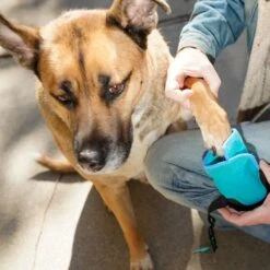 Healers Urban Walker III Waterproof Dog Boots -Blue Buffalo Shop 899974 PT5. AC SS1800 V1688061533